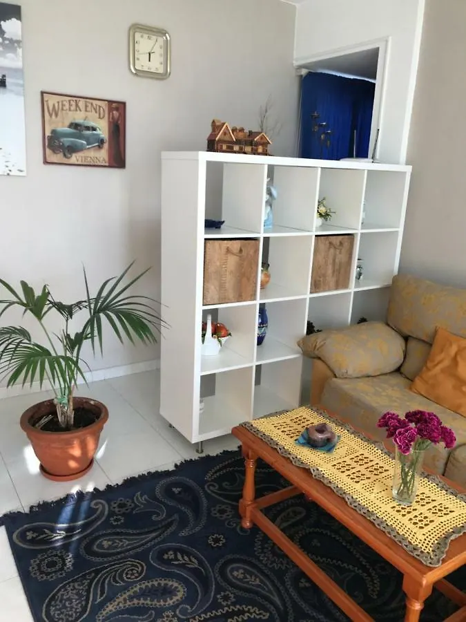 Atico El Paso Apartment